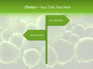 Micro Macro Human PowerPoint Template