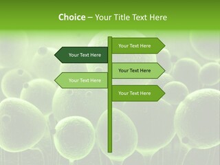 Micro Macro Human PowerPoint Template