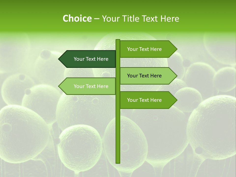 Micro Macro Human PowerPoint Template