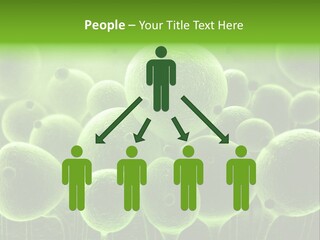 Micro Macro Human PowerPoint Template