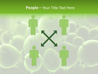 Micro Macro Human PowerPoint Template
