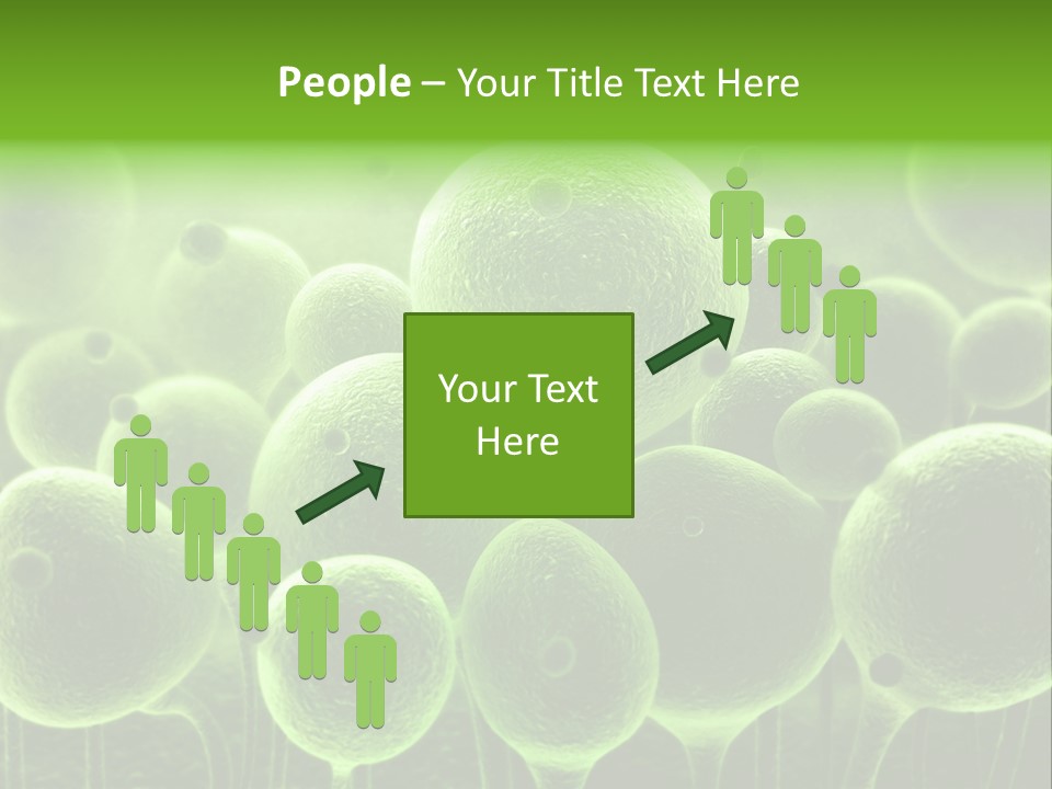 Micro Macro Human PowerPoint Template