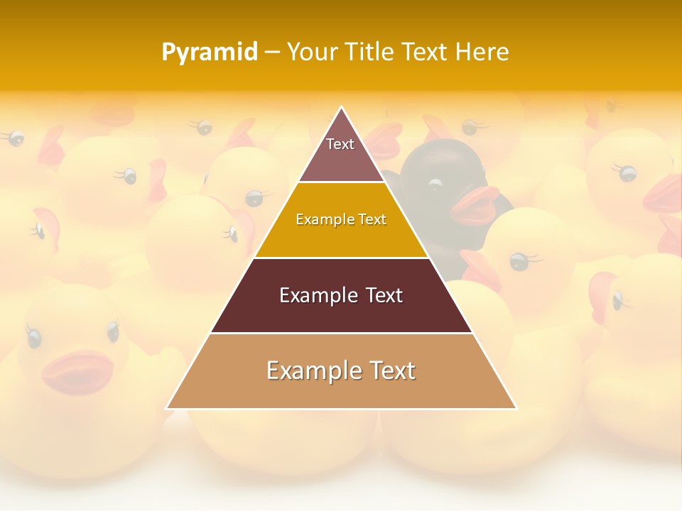 Union Organisation Individuality PowerPoint Template