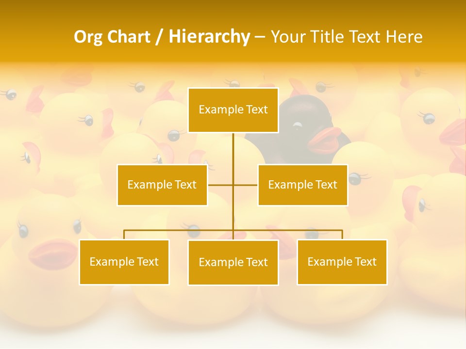 Union Organisation Individuality PowerPoint Template