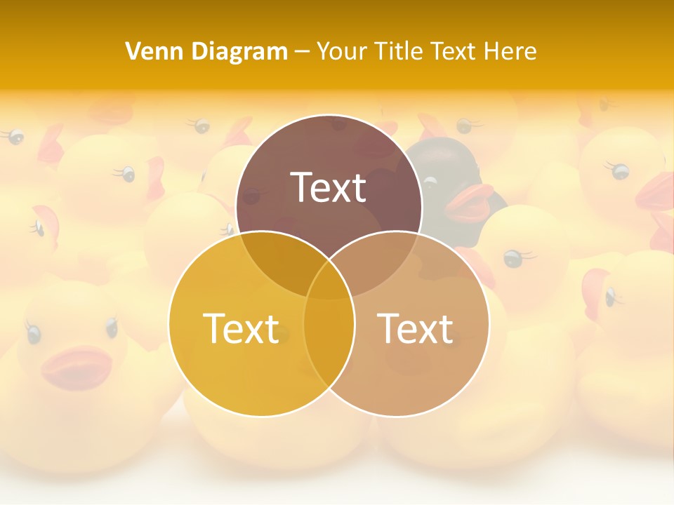 Union Organisation Individuality PowerPoint Template