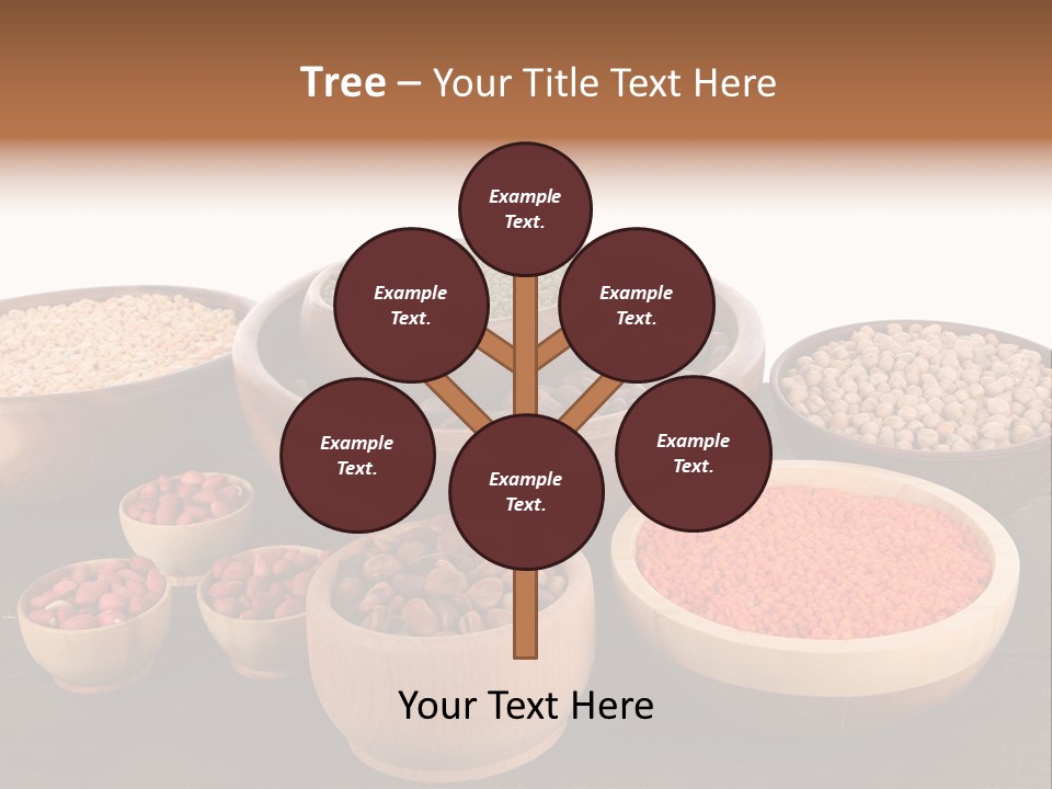 Many Split Dry PowerPoint Template