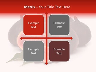 Climate Market Background PowerPoint Template