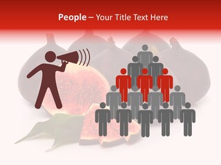 Climate Market Background PowerPoint Template