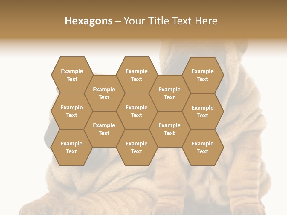 Nobody Animal Canine PowerPoint Template