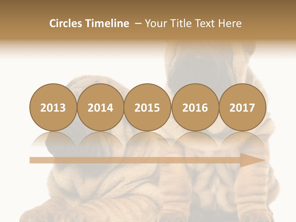 Nobody Animal Canine PowerPoint Template