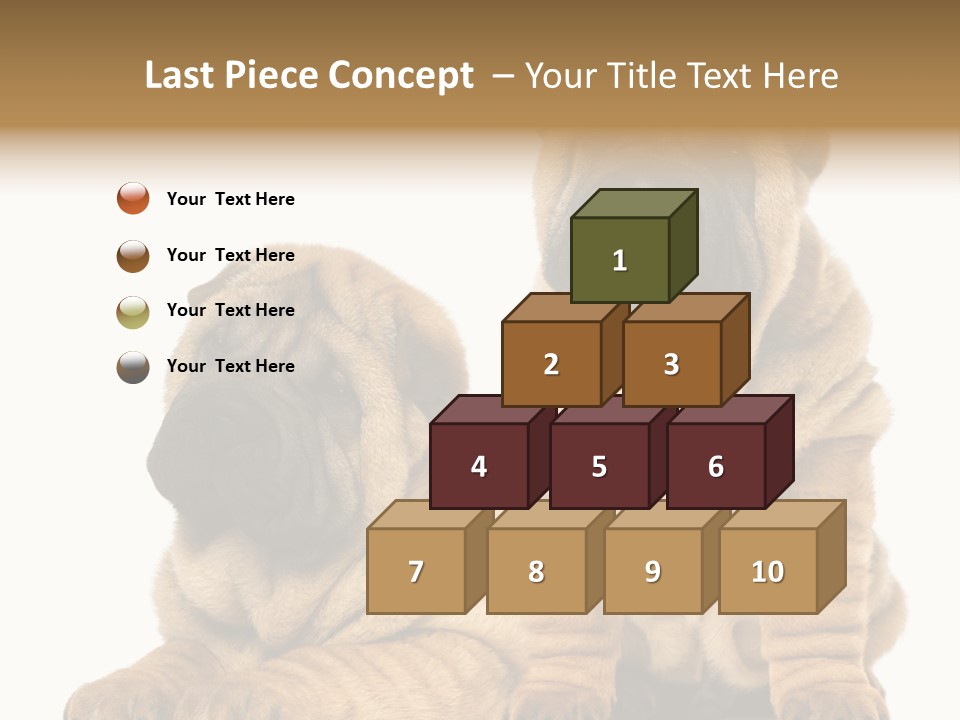 Nobody Animal Canine PowerPoint Template