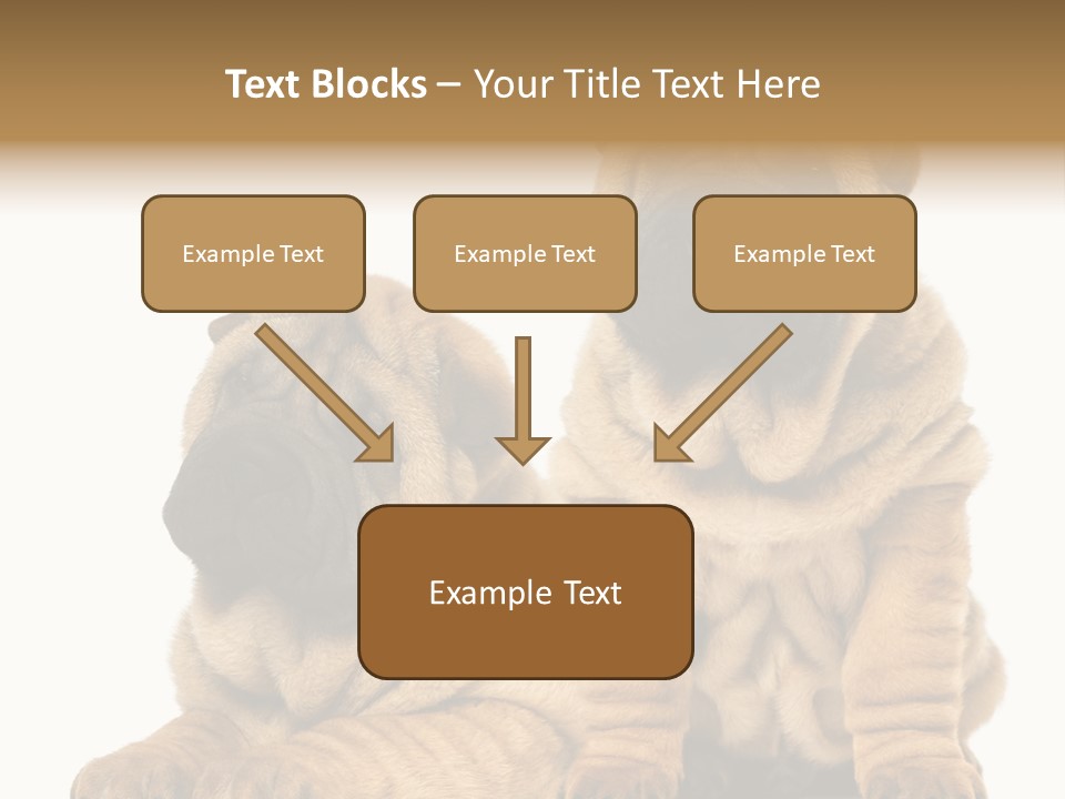 Nobody Animal Canine PowerPoint Template