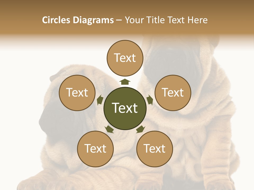 Nobody Animal Canine PowerPoint Template