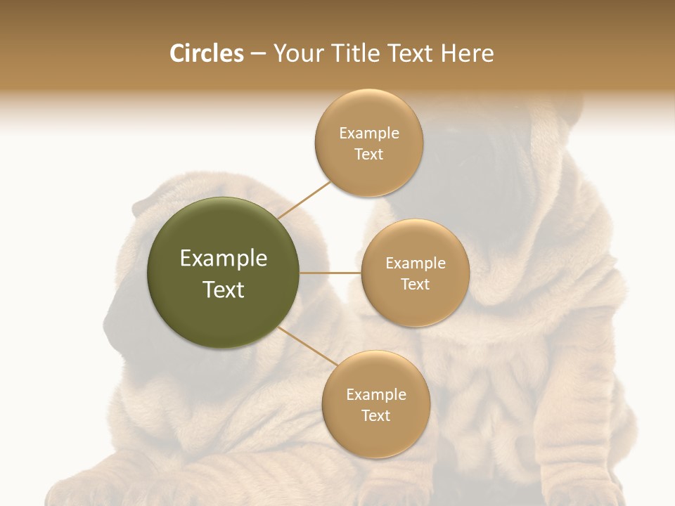 Nobody Animal Canine PowerPoint Template