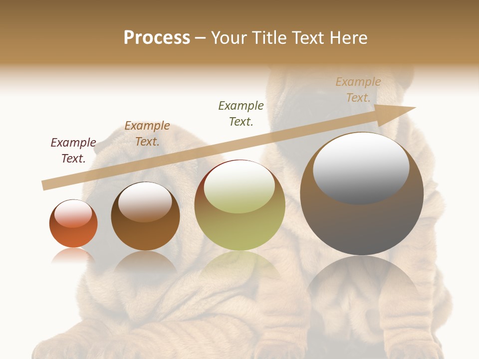 Nobody Animal Canine PowerPoint Template