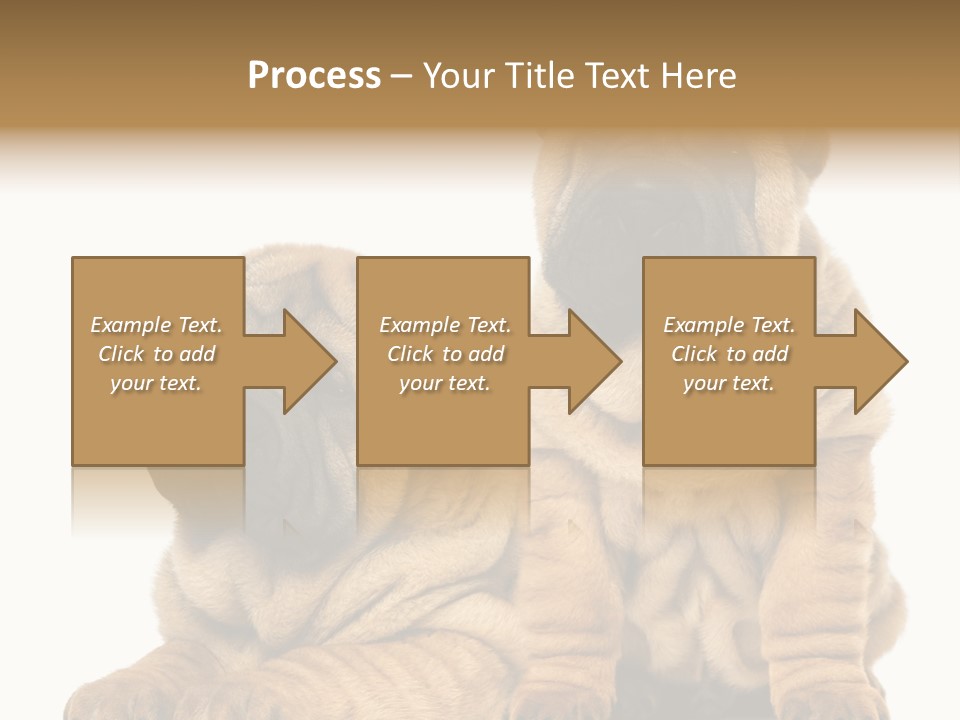 Nobody Animal Canine PowerPoint Template