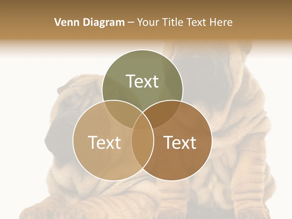 Nobody Animal Canine PowerPoint Template