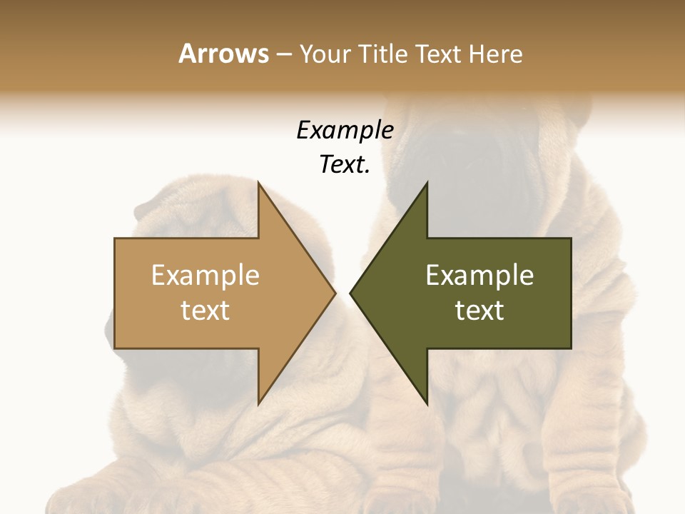 Nobody Animal Canine PowerPoint Template