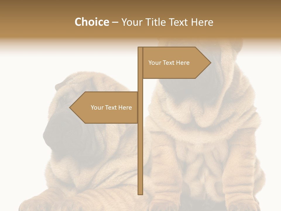 Nobody Animal Canine PowerPoint Template