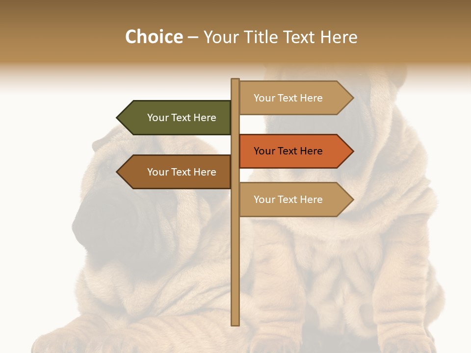 Nobody Animal Canine PowerPoint Template