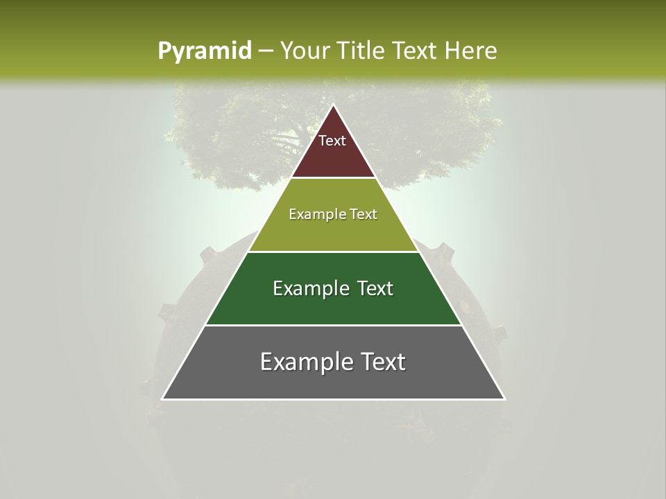 Pollution Barren Wood PowerPoint Template