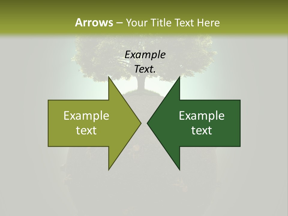 Pollution Barren Wood PowerPoint Template