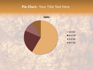 Orange Rust Grill PowerPoint Template