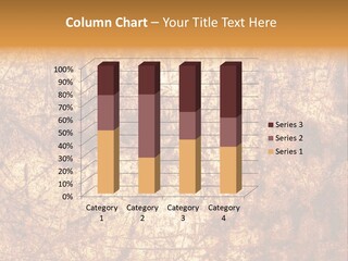 Orange Rust Grill PowerPoint Template