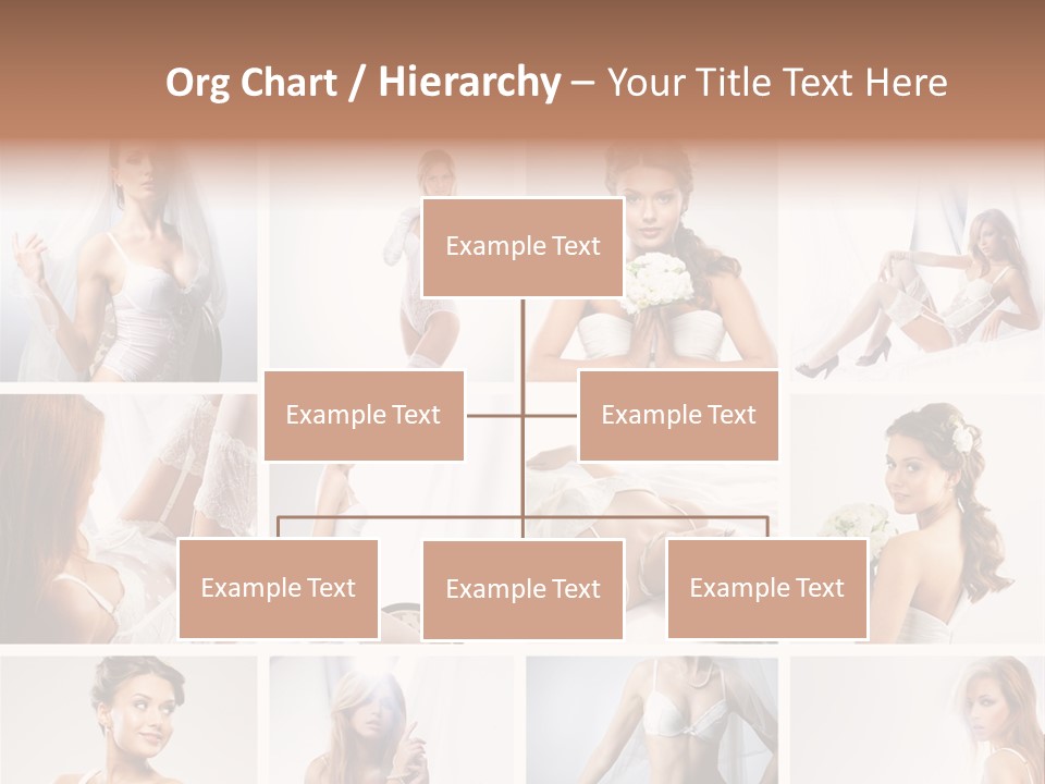 Dress Luxury Leg PowerPoint Template