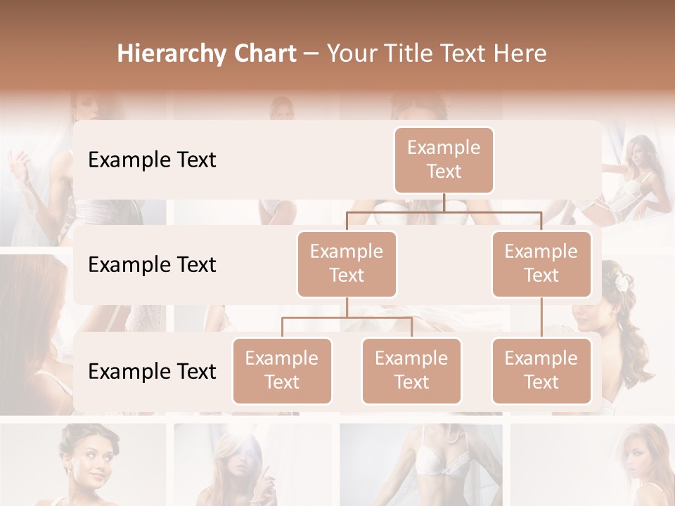 Dress Luxury Leg PowerPoint Template