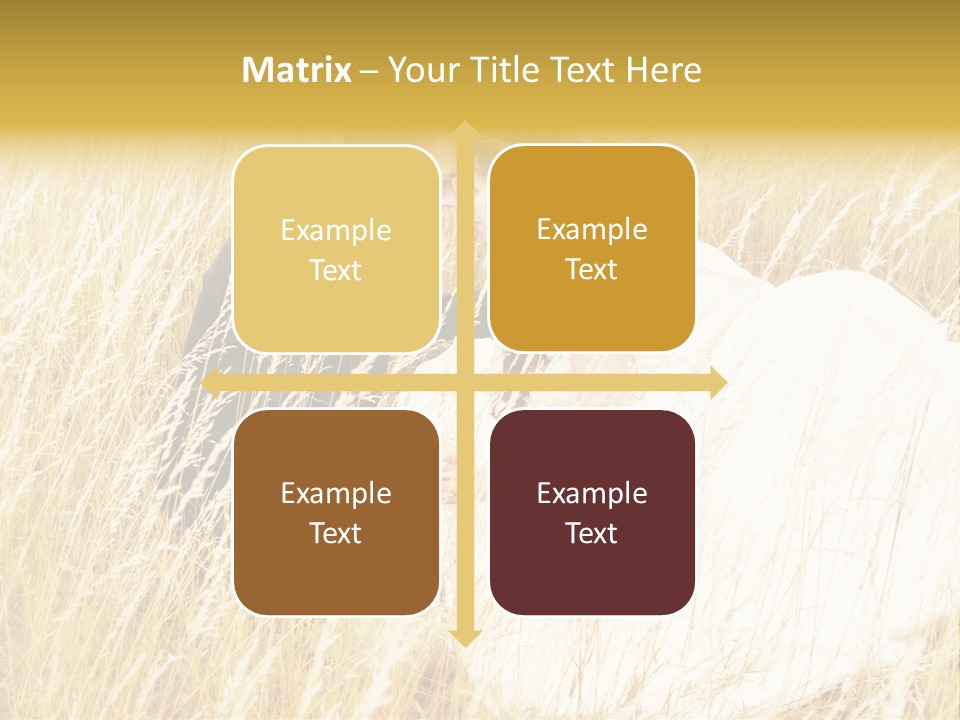 People  Person PowerPoint Template