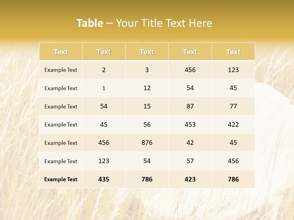 People  Person PowerPoint Template