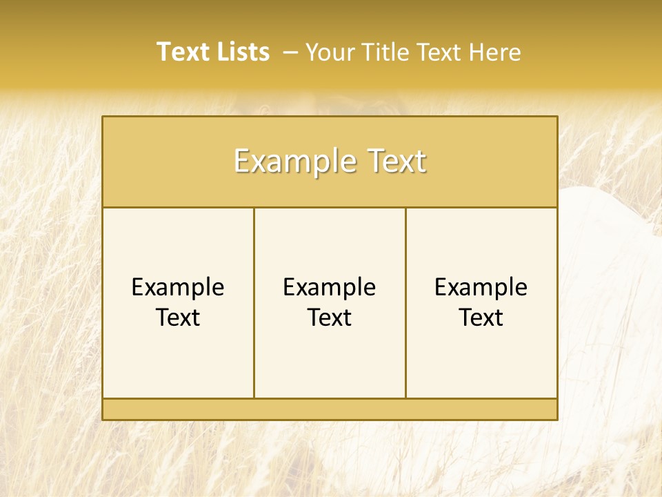People  Person PowerPoint Template