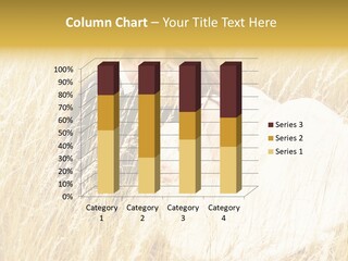 People  Person PowerPoint Template