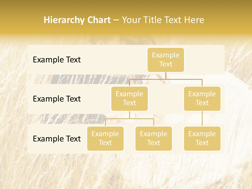 People  Person PowerPoint Template