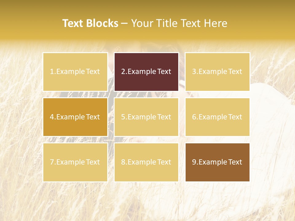 People  Person PowerPoint Template