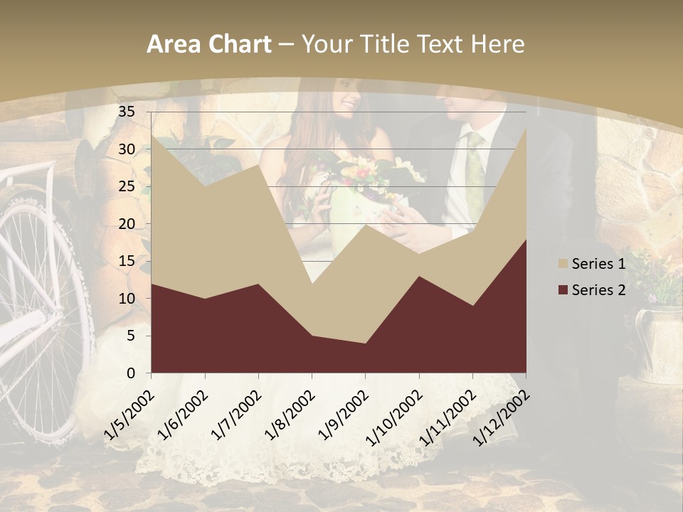Married Dress Lady PowerPoint Template