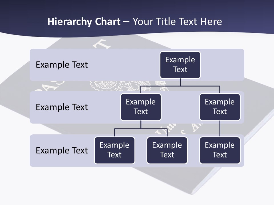 Custom America Passport PowerPoint Template