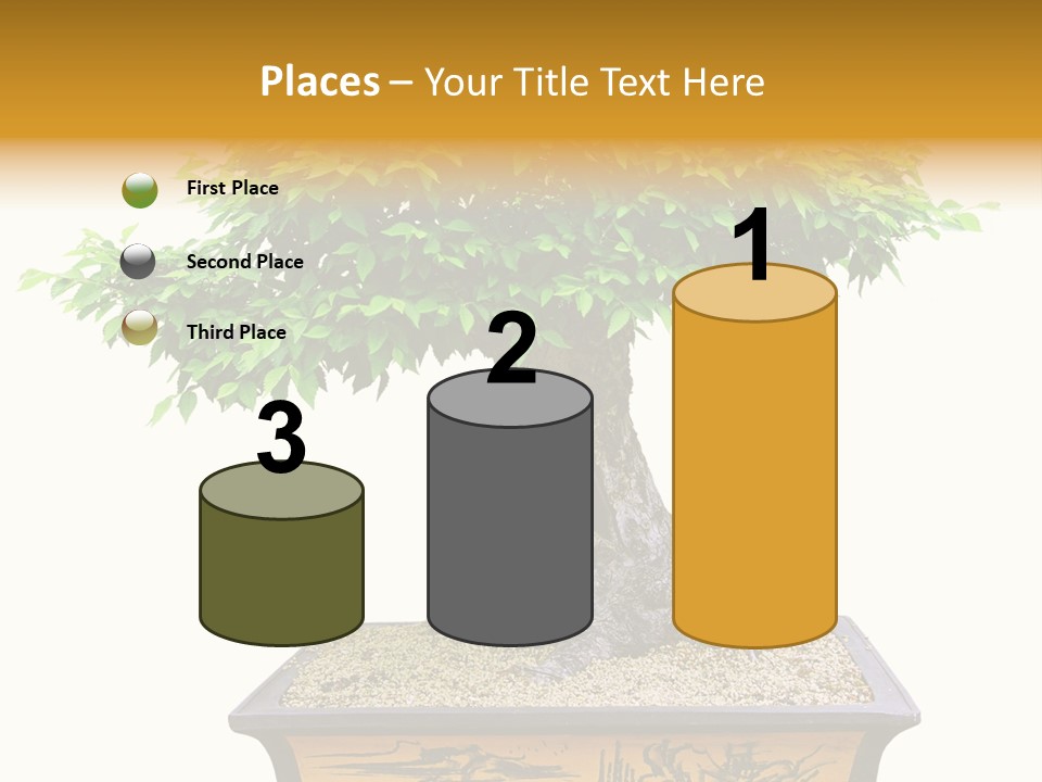 Plant Ficus Small PowerPoint Template