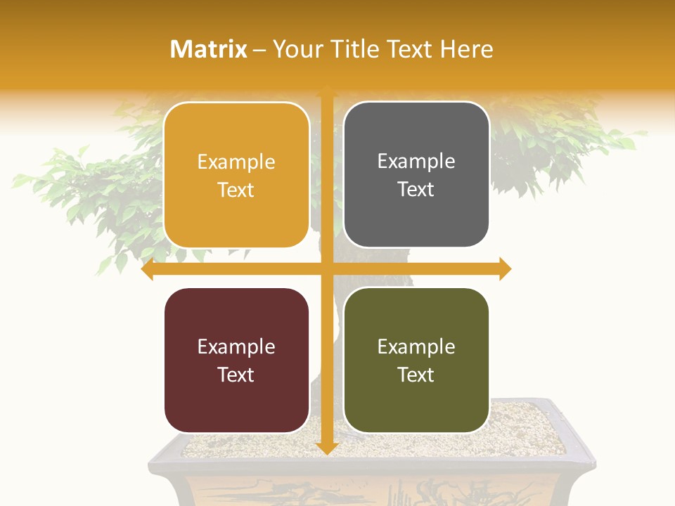 Plant Ficus Small PowerPoint Template