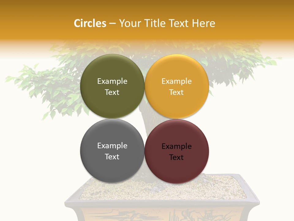 Plant Ficus Small PowerPoint Template