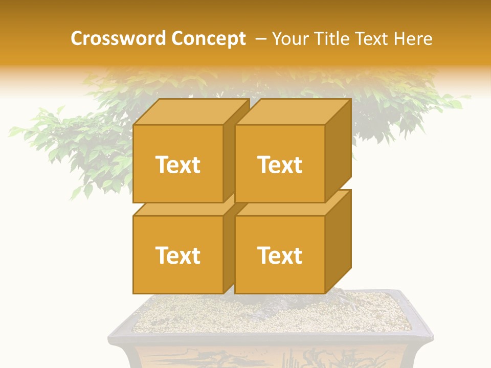 Plant Ficus Small PowerPoint Template