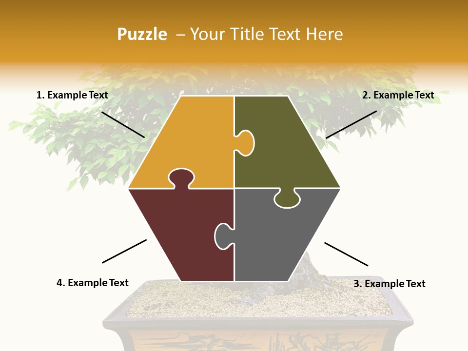 Plant Ficus Small PowerPoint Template