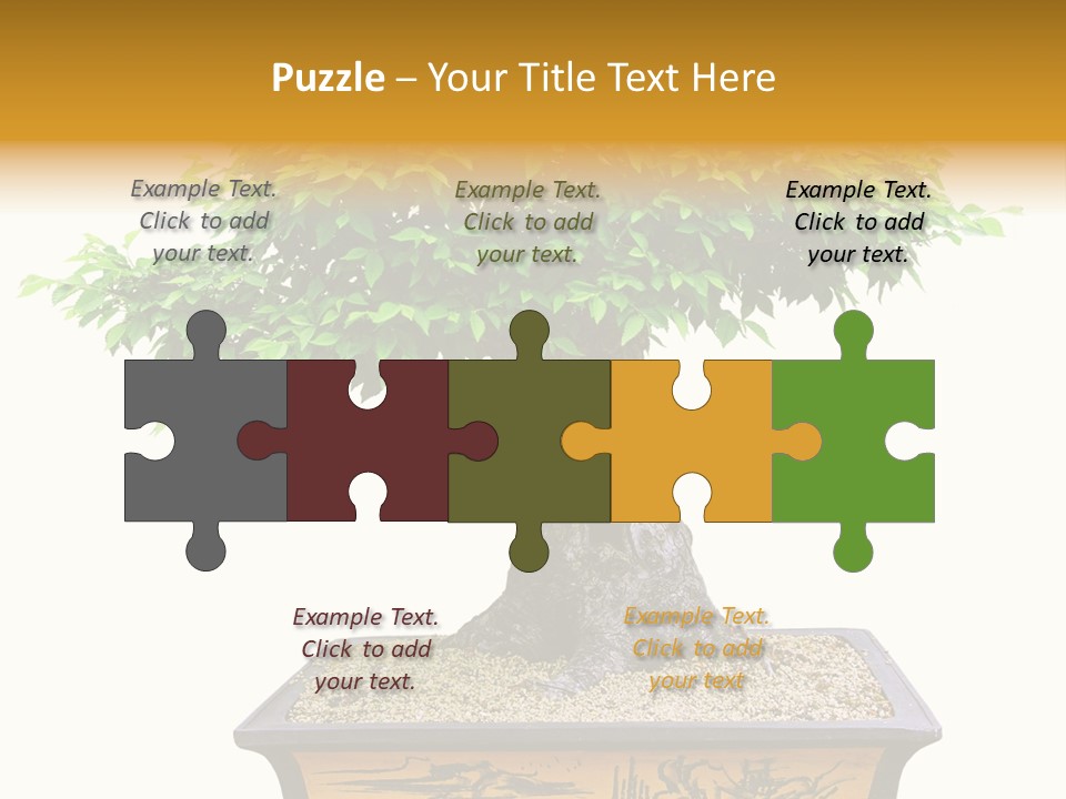 Plant Ficus Small PowerPoint Template