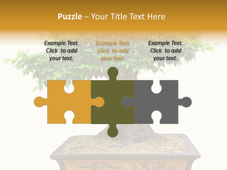 Plant Ficus Small PowerPoint Template