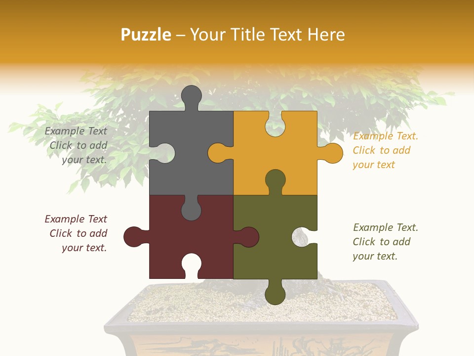 Plant Ficus Small PowerPoint Template