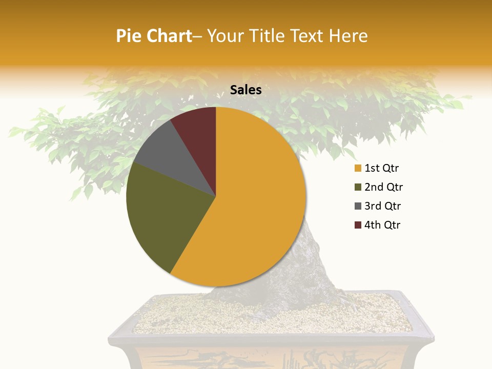 Plant Ficus Small PowerPoint Template