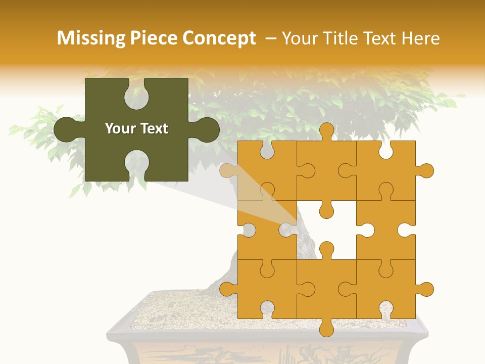 Plant Ficus Small PowerPoint Template