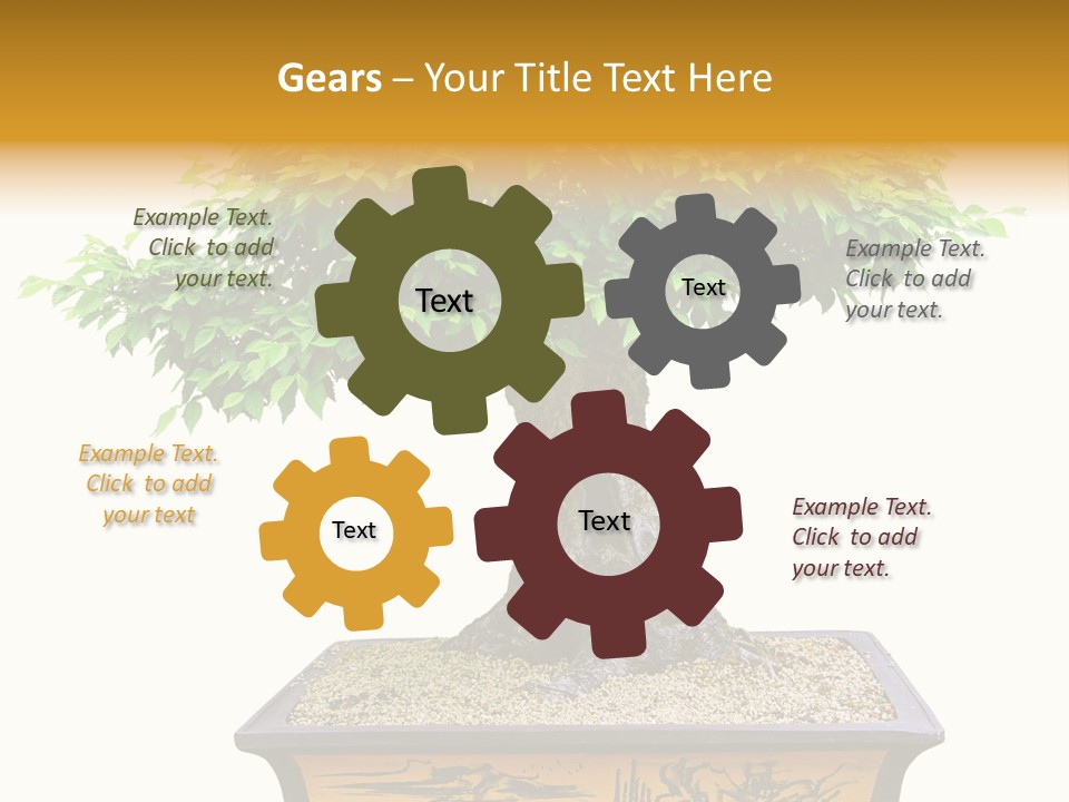 Plant Ficus Small PowerPoint Template