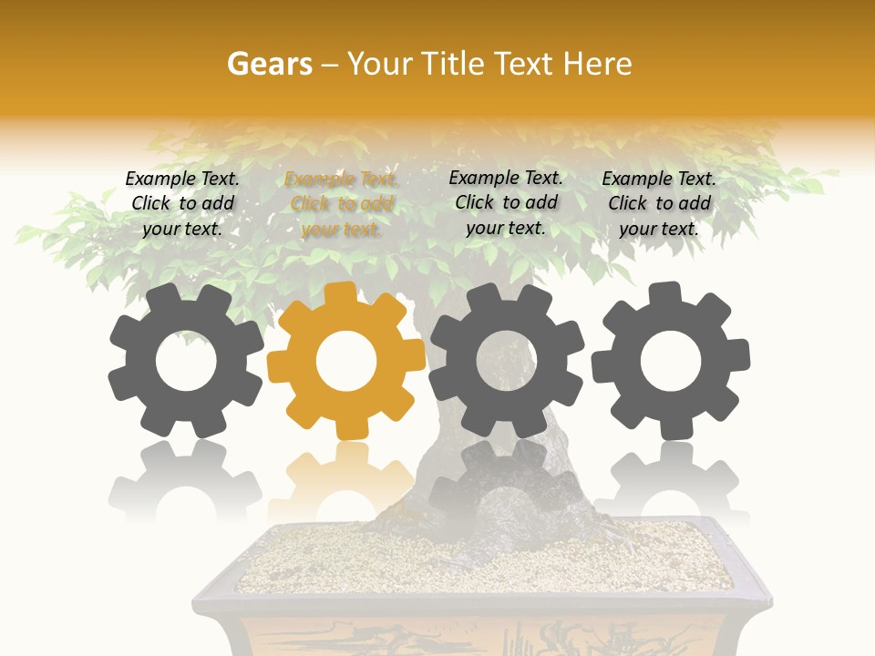 Plant Ficus Small PowerPoint Template